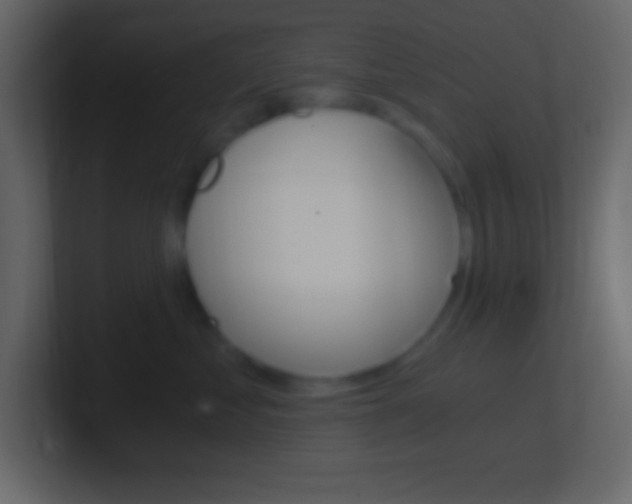 X0000101440621200807071028