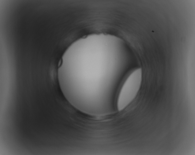 X0000101440623200807071028