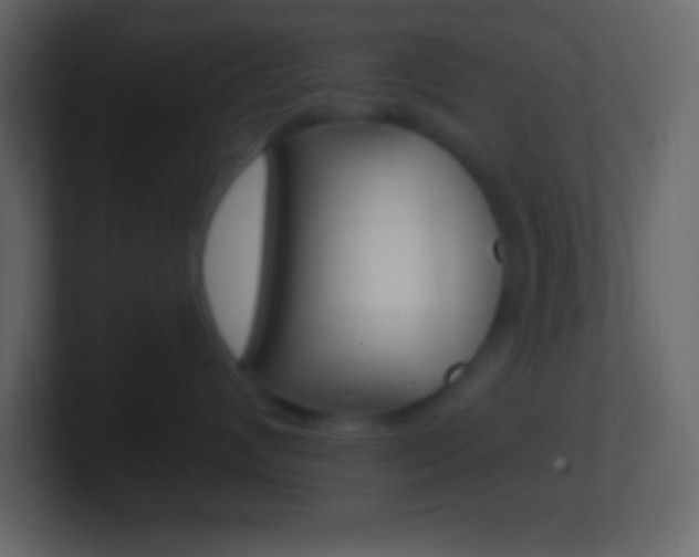 X0000101440624200807071028