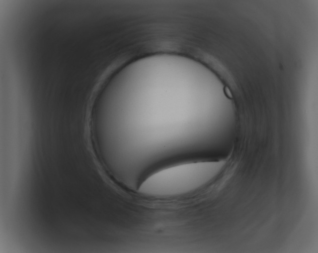 X0000101440625200807071027