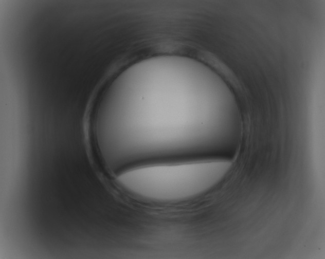 X0000101440626200807071027