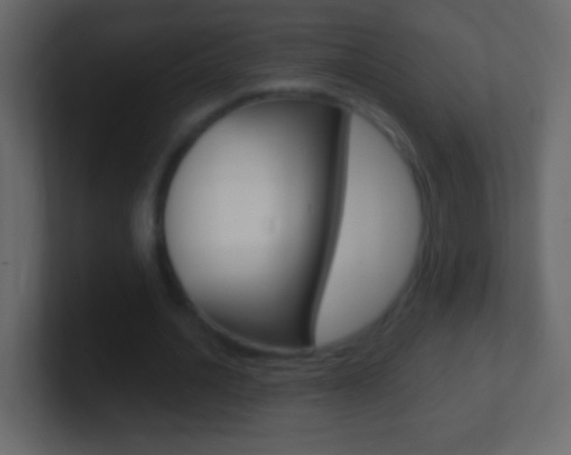 X0000101440628200807071027