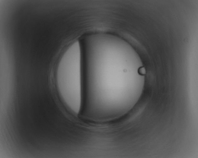 X0000101440638200807071027