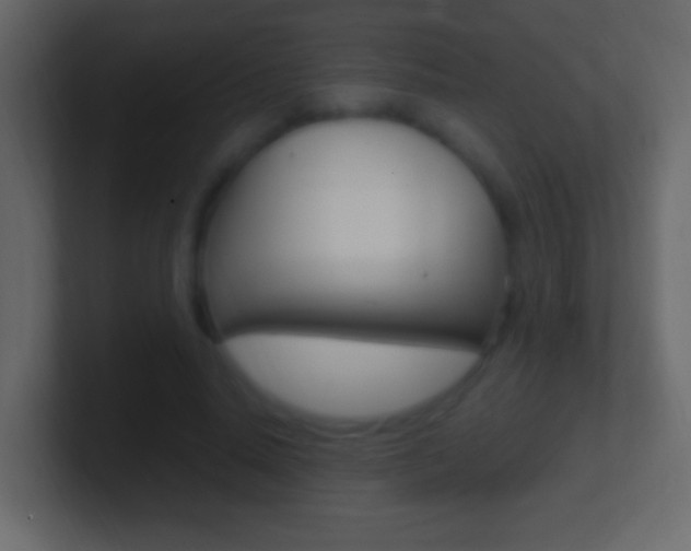 X0000101440640200807071027