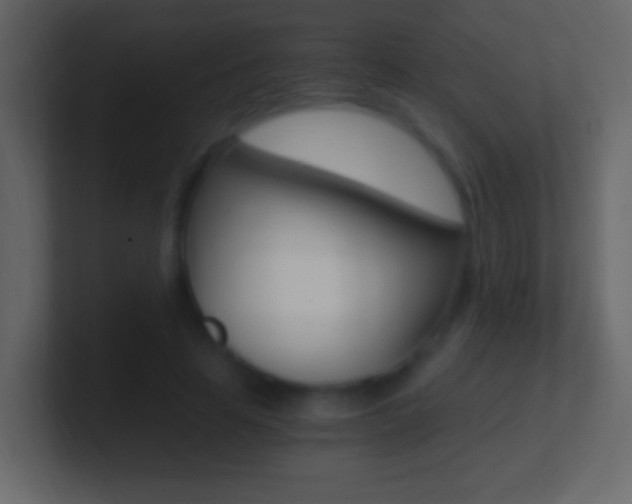 X0000101440641200807071027