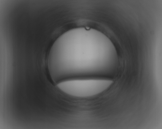 X0000101440648200807071027