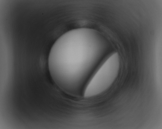 X0000101440653200807071028