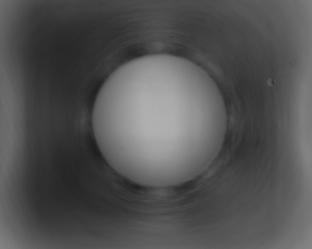 X0000101440659200807071028
