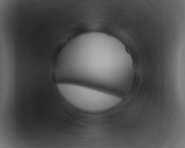 X0000101440660200807071028