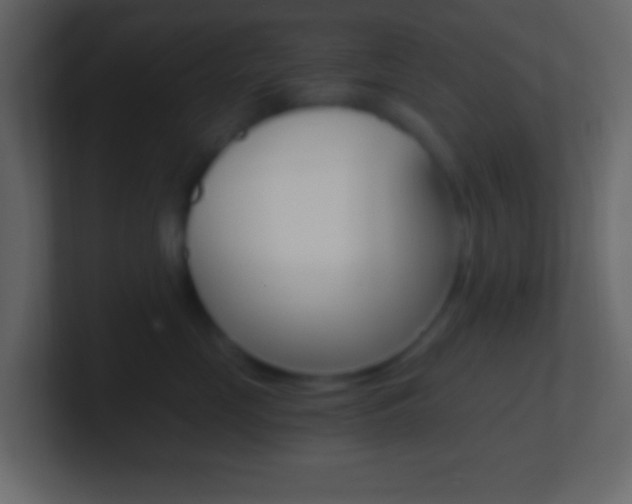 X0000101440669200807071028