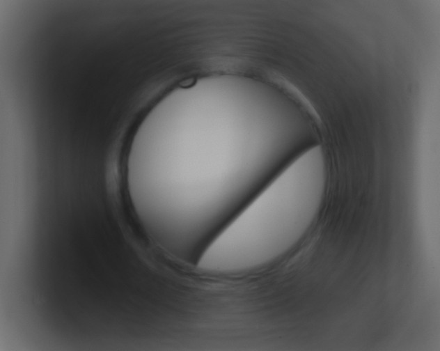 X0000101440674200807071027