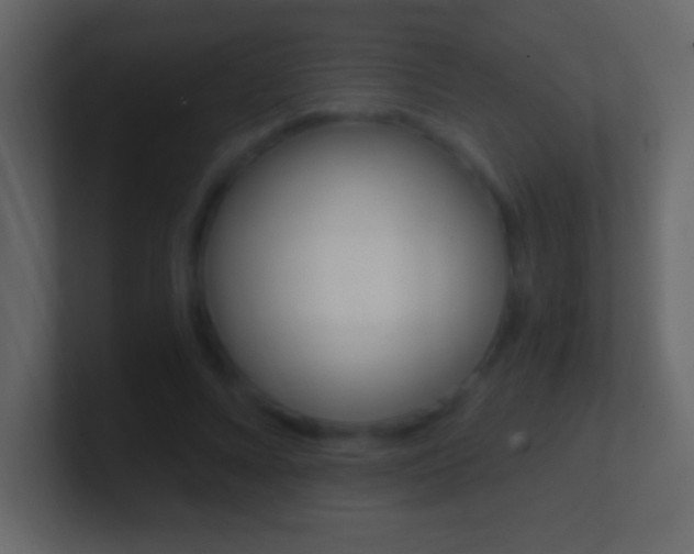 X0000101440688200807071027