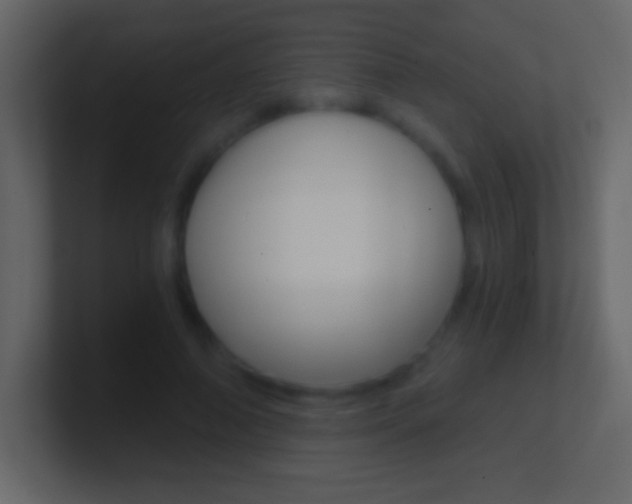 X0000101440690200807071027