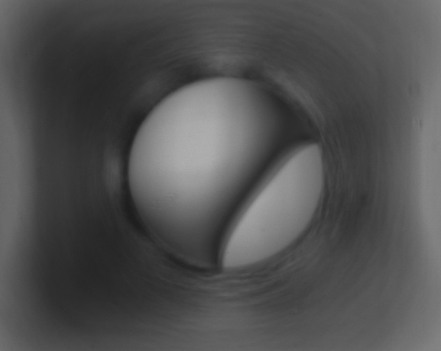 X0000101440693200807071027