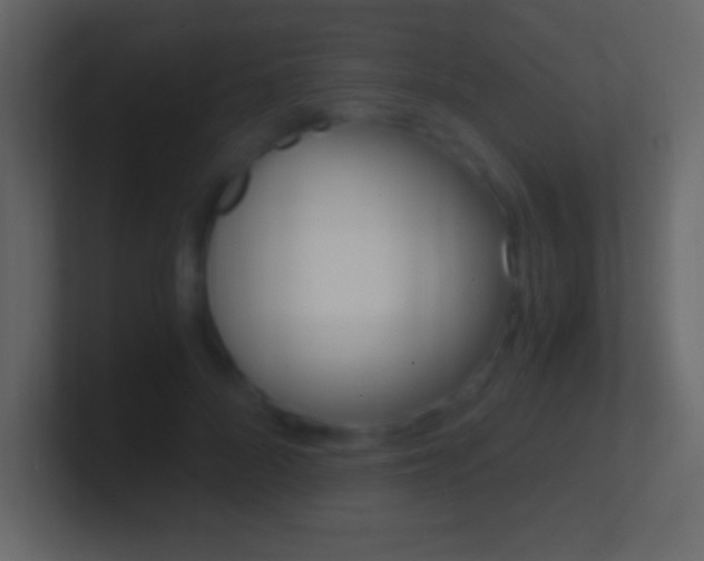 X0000101440696200807071027