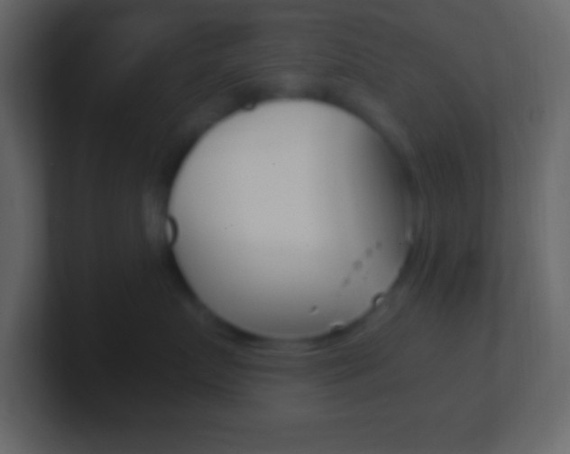 X0000101440719200807071027