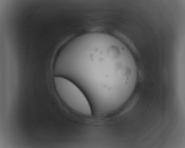 X0000101440721200807071026