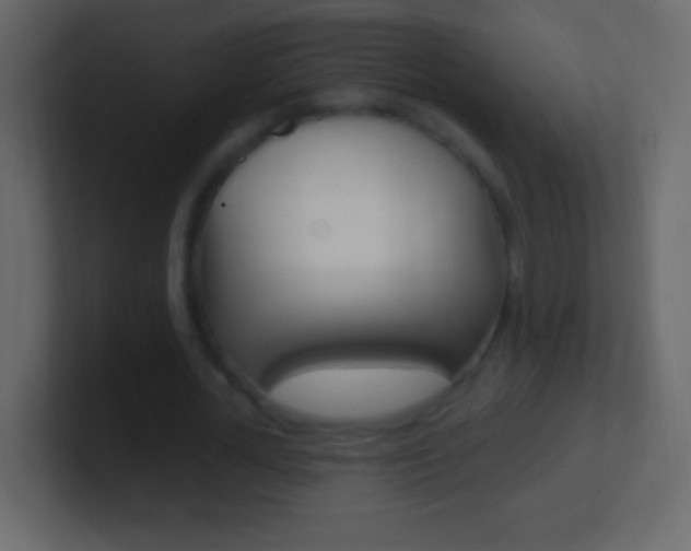 X0000101440724200807071026