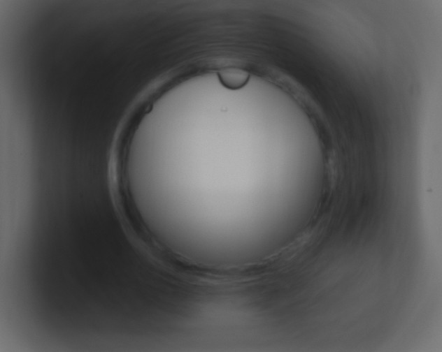 X0000101440726200807071026