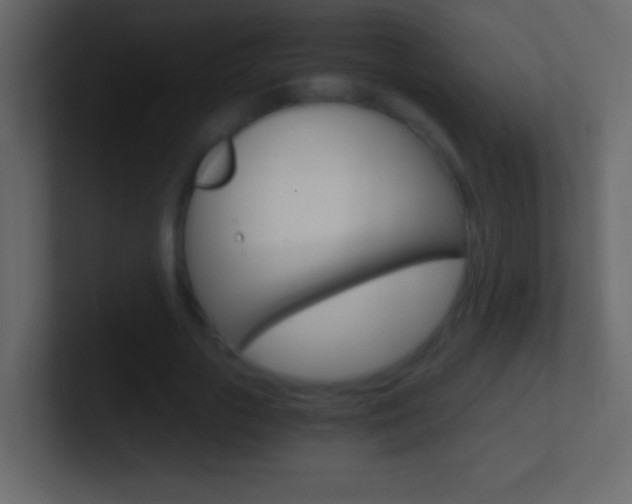 X0000101440729200807071026