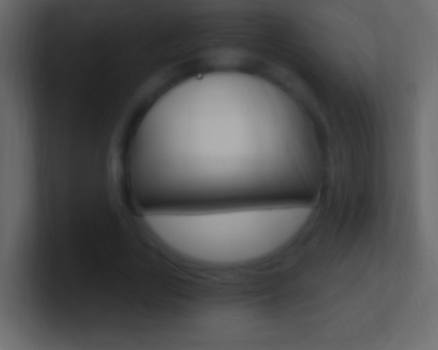 X0000101440731200807071026