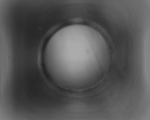 X0000101440732200807071026
