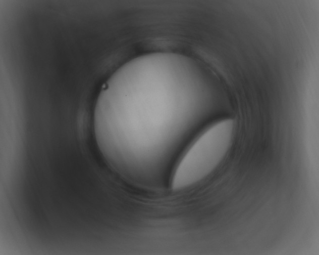 X0000101440739200807071026