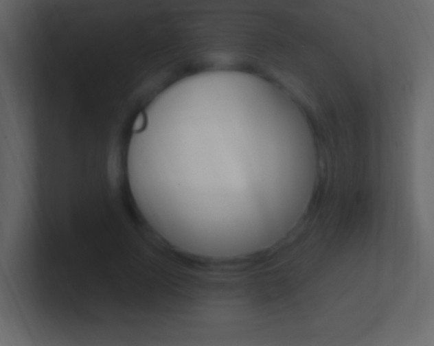 X0000101440740200807071026