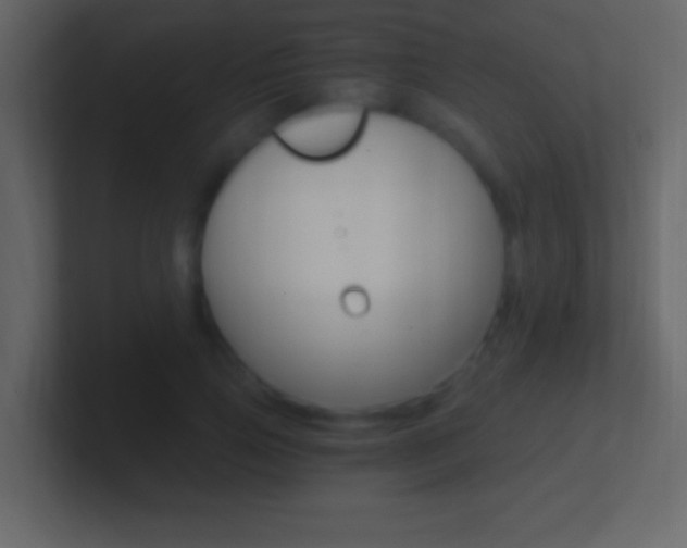 X0000101440741200807071026