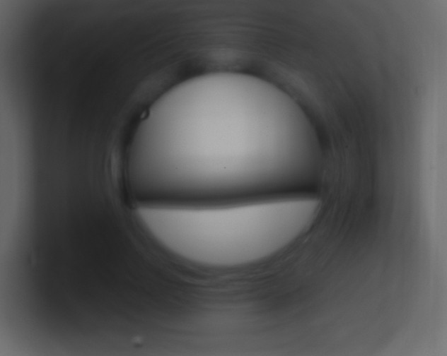 X0000101440742200807071026