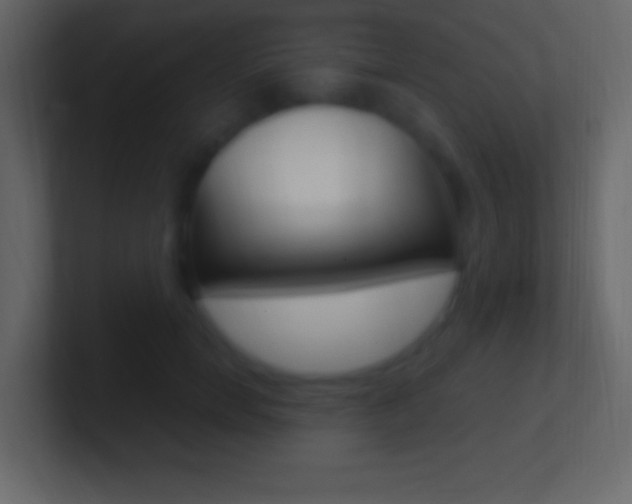 X0000101440750200807071026