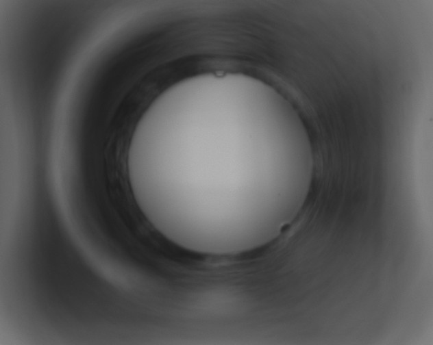 X0000101440764200807071026