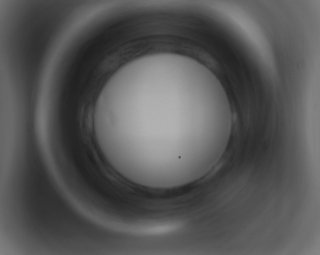 X0000101440765200807071026