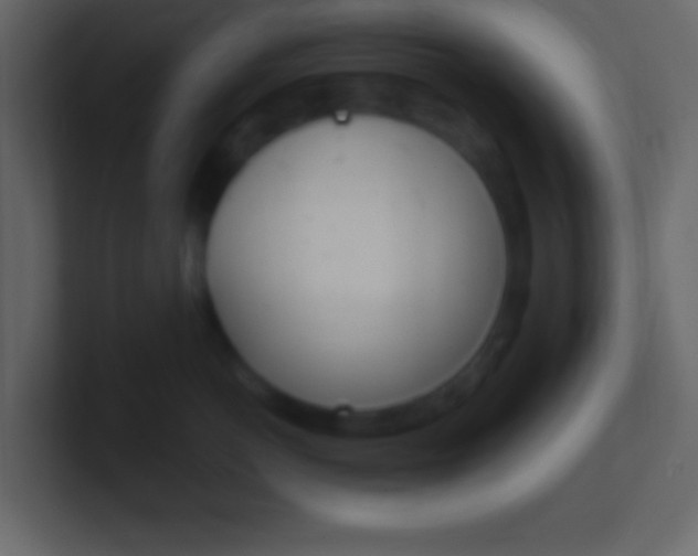X0000101440766200807071026