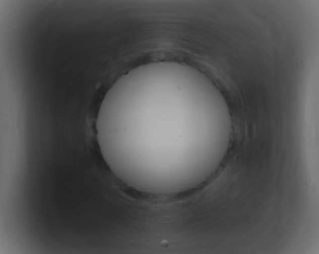 X0000101440770200807071026