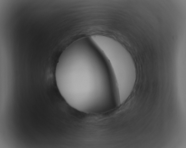 X0000101440771200807071026