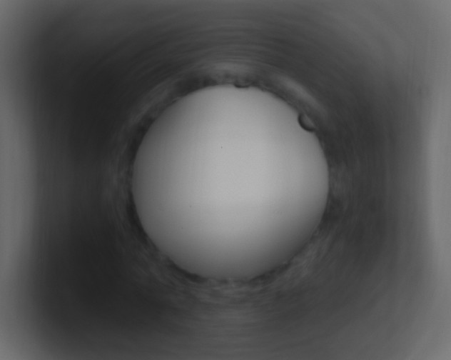 X0000101440774200807071026