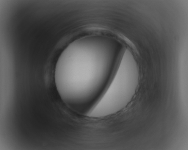 X0000101440775200807071026