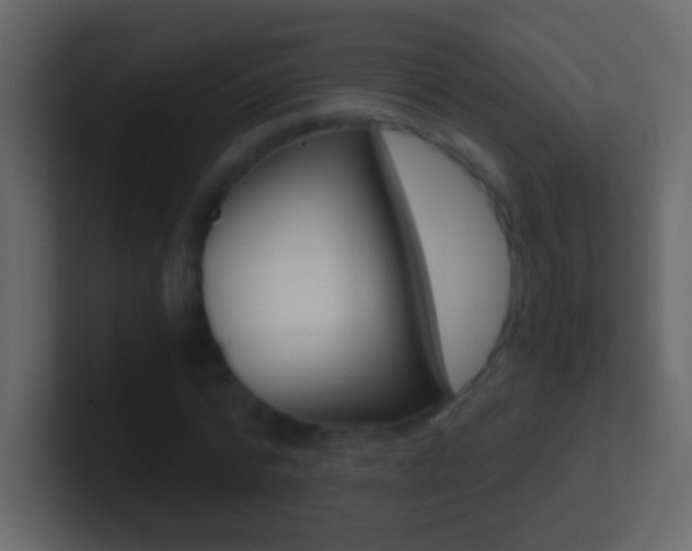 X0000101440776200807071026
