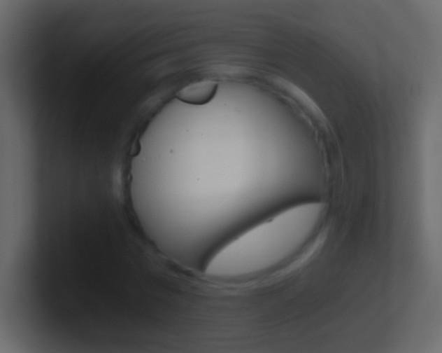 X0000101440777200807071026