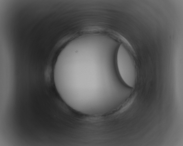 X0000101440778200807071026