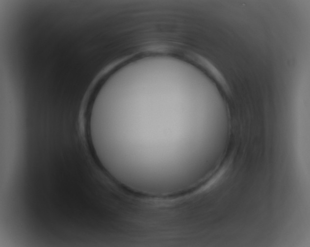 X0000101440779200807071026