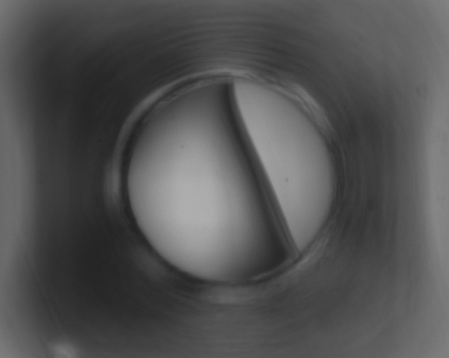 X0000101440780200807071026