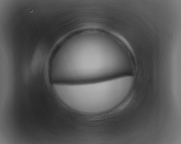 X0000101440783200807071026