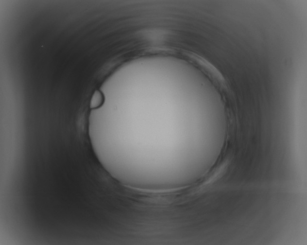 X0000101440785200807071026