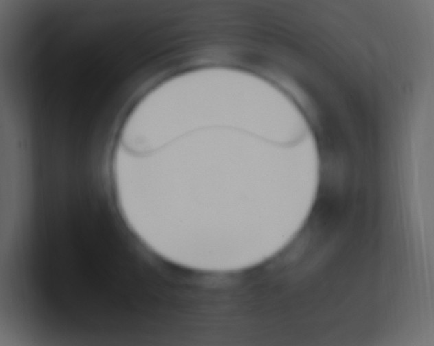 X0000101440807200807071025