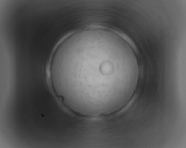 X0000101440814200807071025