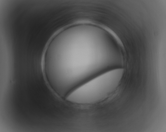 X0000101440815200807071025