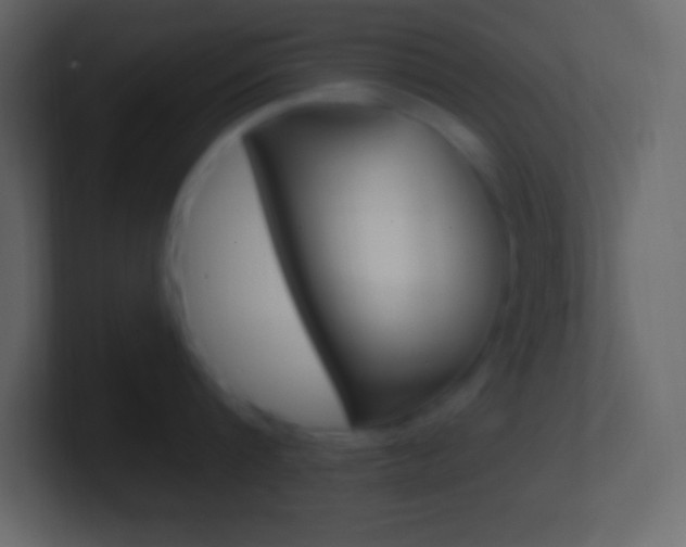 X0000101440816200807071025