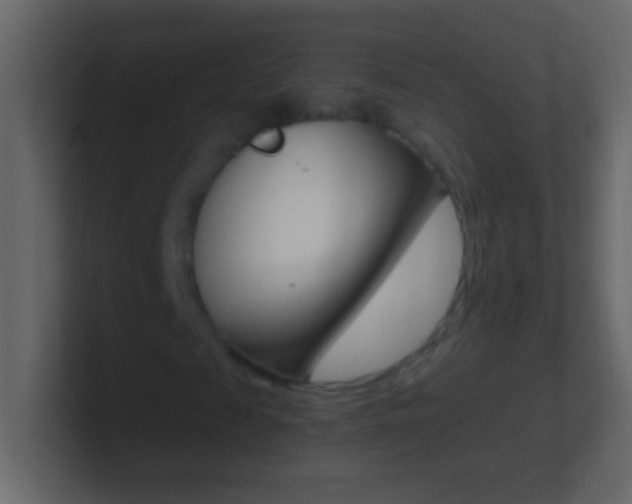X0000101440817200807071025